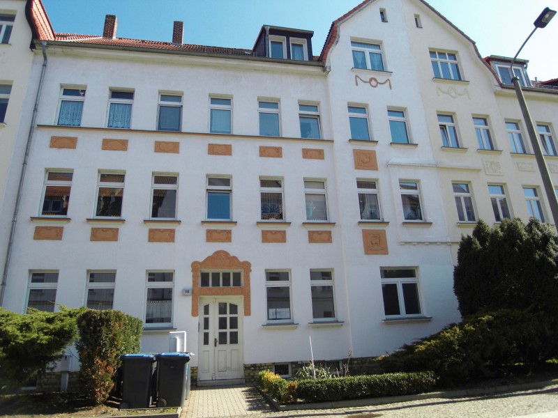 Sanierte Altbauwohnung im grünen Großzschocher ! - Foto 4