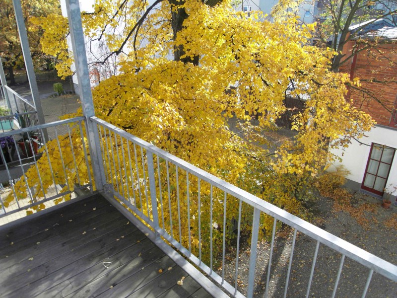 Ruhig gelegene 2-Zimmerwohnung mit Balkon in Plagwitz! - Foto 3