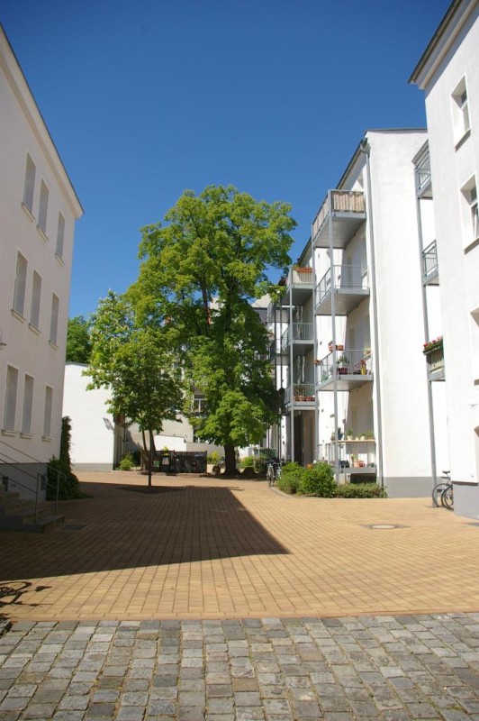 Ruhig gelegene 2-Zimmerwohnung mit Balkon in Plagwitz! - Foto 5