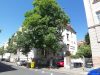 Großzügige 3-Zimmerwohnung in Gohlis-Süd ! - Hausansicht