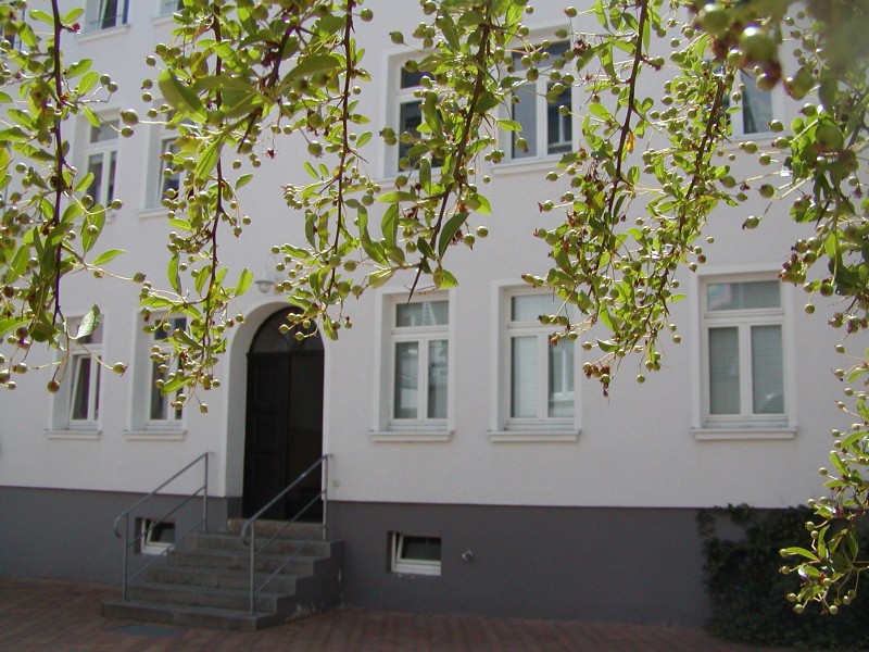 Plagwitz, ruhig gelegene 2-Zimmerwohnung im HOFGEBÄUDE ! - Foto 4
